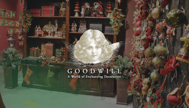 Goodwill | referentie iFacto
